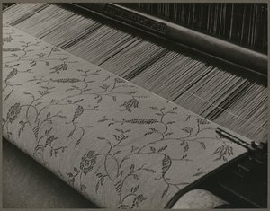  作者 刘易斯·威克斯·海恩