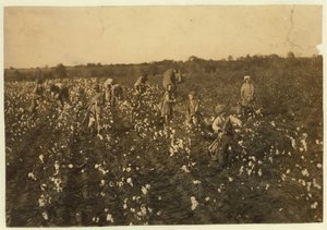 家庭在1913年德克萨斯州麦金尼附近采摘棉花 作者 刘易斯·威克斯·海恩