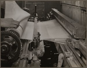  作者 刘易斯·威克斯·海恩