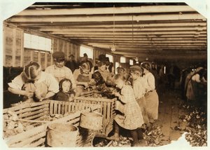 1911年在路易斯安那州Dunbar Cannery，8岁的Rosy作为牡蛎去壳工作了14个小时 作者 刘易斯·威克斯·海恩