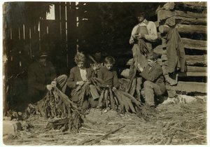JH Burch的儿子在1916年在肯塔基州罗克菲尔德的沃伦县上学期间12岁，14岁和17岁时剥烟 作者 刘易斯·威克斯·海恩