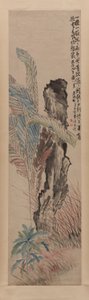 花园岩石旁的香蕉树 作者 李山