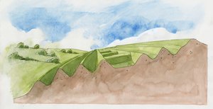 老奥斯威斯特里的横截面（纸面水彩画）