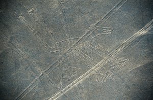 狗，纳斯卡线条，纳斯卡，秘鲁，纳斯卡文明（照片） 作者 未知未知
