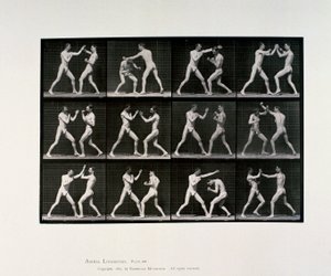 裸体男运动员拳击，c 1872-1885 作者 未知未知
