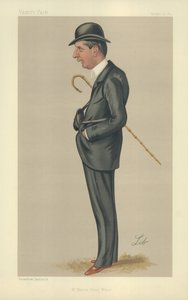 马库斯亨利米尔纳先生 作者 Liborio Prosperi