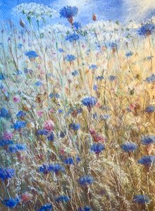 矢车菊花2 作者 林肯·塞利格曼