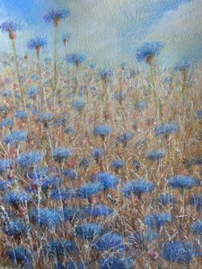矢车菊花 3 作者 林肯·塞利格曼