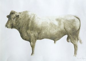 Islay Bull，2004（画布上的丙烯酸）