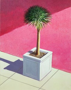 小棕榈，1995年（画布上的丙烯酸） 作者 林肯·塞利格曼