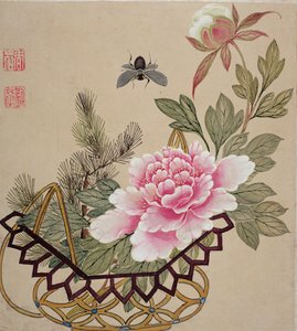 19世纪晚期的一系列花卉和昆虫画作之一