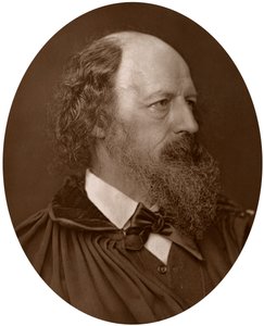 阿尔弗雷德·坦尼森（Alfred Tennyson），DCL，FRS，英国诗人桂冠得主，1883年。 作者 洛克和惠特菲尔德