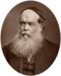 Birket Foster，水彩协会会员，1880年。 作者 洛克和惠特菲尔德
