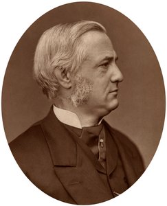 弗雷德里克·马克斯·弗勒（Frederick Max Muller），牛津大学比较语言学教授，1878年。 作者 洛克和惠特菲尔德