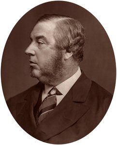 乔治·斯考特·布斯（George Sclater-Booth）议员，地方政府局主席，1878年。 作者 洛克和惠特菲尔德