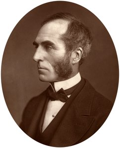戈德温·史密斯（Goldwin Smith），教授，1878年 作者 洛克和惠特菲尔德