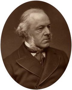 亨利·奥斯丁·布鲁斯（Henry Austin Bruce），第一任阿伯达雷男爵，政治家，1882年。 作者 洛克和惠特菲尔德