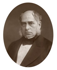 亨利·贝瑟默（Henry Bessemer），英国工程师和发明家，1881年 作者 洛克和惠特菲尔德