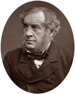 威廉·罗伯特·格罗夫爵士（Sir William Robert Grove），DCL，FRS，高等法院法官，1877年。 作者 洛克和惠特菲尔德