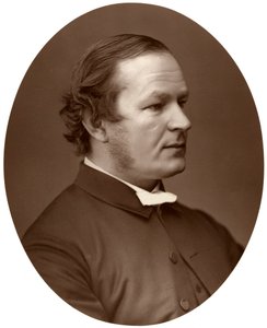 牧师卡农·法拉尔（Rev Canon Farrar），DD，FRS，威斯敏斯特大教堂，1876年。 作者 洛克和惠特菲尔德