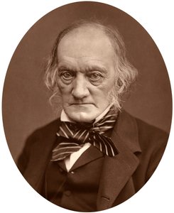 理查德·欧文（Richard Owen），1878年。 作者 洛克和惠特菲尔德
