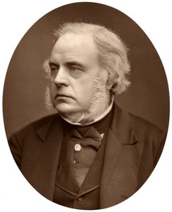 约翰·布莱特（Ron Hon John Bright）议员，伯明翰议员，1876年。 作者 洛克和惠特菲尔德