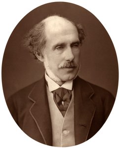 威廉·弗朗西斯·考珀·坦普尔（Hon William Francis Cowper-Temple）议员，南汉普郡议员，1876年。 作者 洛克和惠特菲尔德