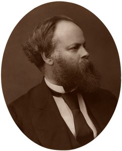 塞缪尔·普利姆索尔（Samuel Plimsoll），Esq，国会议员，英国自由党政治家和社会改革家，1876年。 作者 洛克和惠特菲尔德