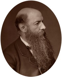 政治家威尔弗里德·劳森爵士，卡莱尔议员，1882年。 作者 洛克和惠特菲尔德