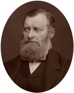 威廉·爱德华·福斯特（William Edward Forster）议员，1878年。 作者 洛克和惠特菲尔德