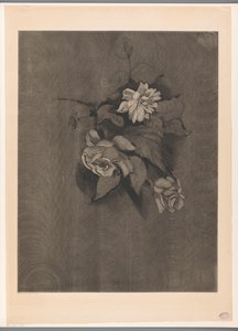 玫瑰插花
玫瑰》（原标题） 作者 Lodewijk Shelfhout（艺术家签名）