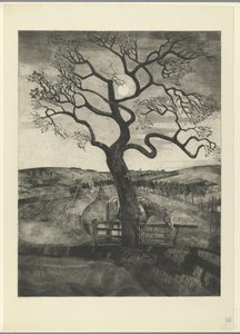 Etikhove 附近草地上的马匹
Vieux cheval en repos（原标题） 作者 Lodewijk Shelfhout（艺术家签名）