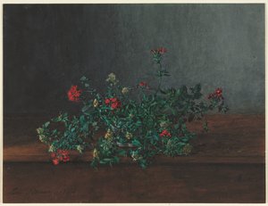 野花静物