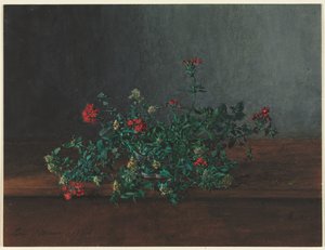 静物与野花，1864年。 作者 莱昂·邦万