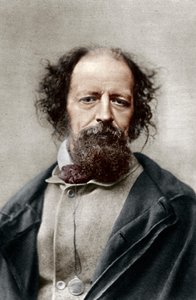 阿尔弗雷德·坦尼森勋爵，英国诗人桂冠，1867年。