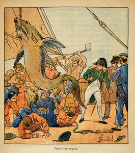 由Bombled Louis（1862-1927）绘制的插图，出自Emmanuel de Las Cases伯爵（1766-1842）的《圣海伦纪念》一书。拿破仑皇帝出席在诺森伯兰号上捕获鲨鱼的活动，私人收藏。 作者 路易斯·查尔斯·邦布尔