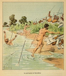 马达加斯加的战争--1885-1895年法国远征的轶事史》，作者是亨利-加利（Henri Galli dit Galllichet）（1854-1922），由路易斯-邦布尔（Louis Bombled）（1862-1927）绘制。1895年，萨卡莱维人在马罗萨科阿攻击法国谈判者，私人收藏品 作者 路易斯·查尔斯·邦布尔