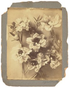 蒂芙尼工作室，约 1898-1920 年（黑白照片） 作者 路易斯·康福特·蒂芙尼