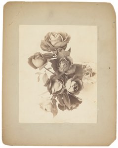 蒂芙尼工作室，约 1898-1920 年（黑白照片） 作者 路易斯·康福特·蒂芙尼