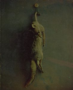 福克斯，约1870年。 作者 路易斯·杜科斯·豪伦