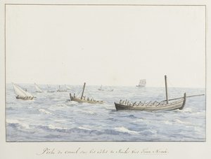西西里岛 Terra Nuova 海岸边的珊瑚渔民
Pêche du corail sur les côtes de Sicile vers Terra Nuova（物上标题）
Voyage en Italie, en Sicile et à Malte - 1778（系列标题） 作者 路易斯·杜克罗斯