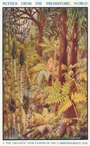 石炭纪的巨大植被（彩色石版画）