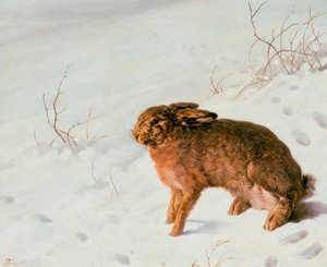 雪中的野兔，1875年 作者 Louis Ferdinand von Rayski