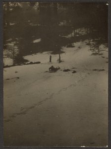[儿童滑雪橇下山] 作者 路易斯·弗莱肯斯坦