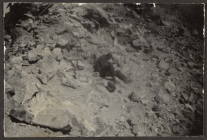 [人在岩石间] 作者 路易斯·弗莱肯斯坦