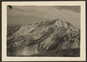 山景 作者 路易斯·弗莱肯斯坦