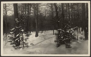 雪景 作者 路易斯·弗莱肯斯坦