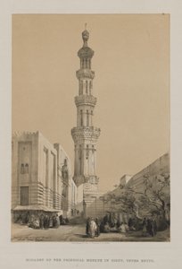 埃及和努比亚，第三卷：上埃及锡乌特主要清真寺的尖塔 作者 FGMoon, 20 Threadneedle Street, 伦敦