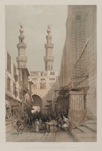 埃及和努比亚，第三卷：尖塔和梅特瓦利人的盛大入口，1848年在开罗。 作者 路易斯·哈格