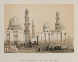 埃及和努比亚，第三卷：Memlooks墓，开罗，1849年。 作者 路易斯·哈格